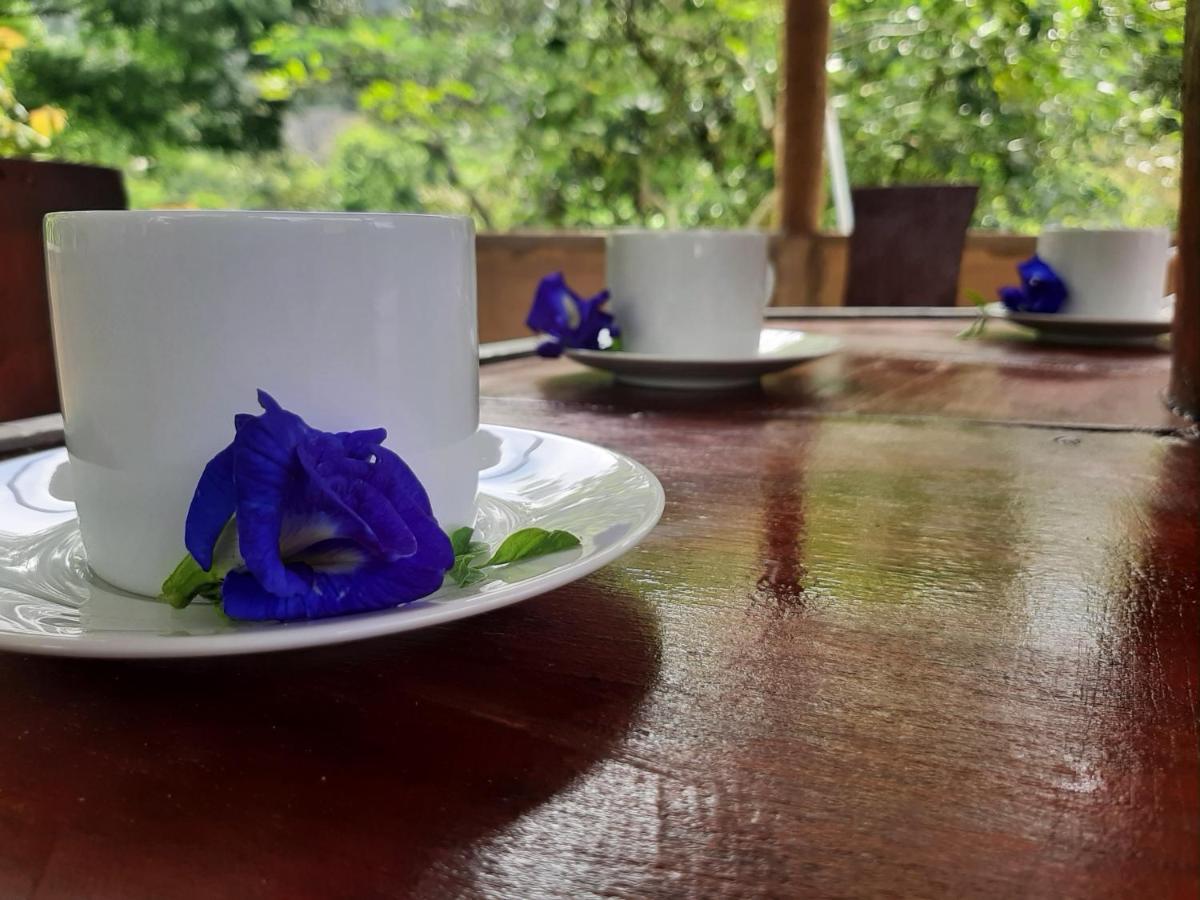 Kande Gedara Resort Monaragala المظهر الخارجي الصورة